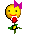 Single Rose